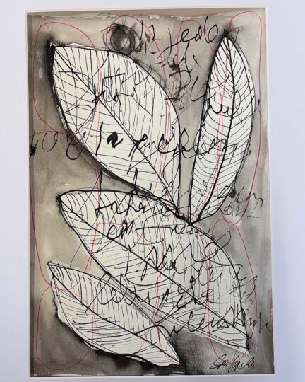 864D4351-1152-482B-9051-D6560D135FA6